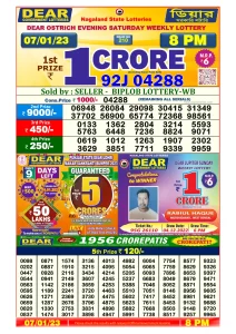 Dear Lottery Result Today 8pm 07/01/2023 Nagaland Stae lottery result pdf