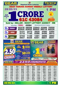 Dear Lottery Results 01:00 Pm 28/05/2023 Morning Nagaland State Lottery Result Pdf Download