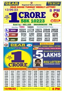 Lottery Sambad Live Result 8pm 13/06/2023 Evening Nagaland State Lottery Result Pdf Download