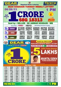 Dear Lottery Results 01:00 Pm 06/06/2023 Morning Nagaland State Lottery Result Pdf Download