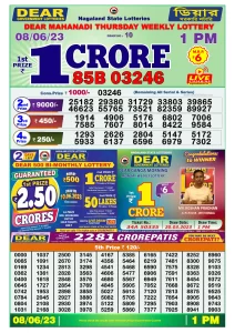 Dear Lottery Results 01:00 Pm 08/06/2023 Morning Nagaland State Lottery Result Pdf Download