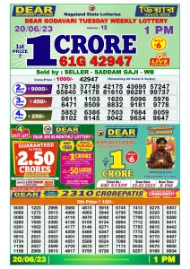 Dear Lottery Results 01:00 Pm 20/06/2023 Morning Nagaland State Lottery Result Pdf Download