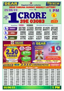 Dear Lottery Results 01:00 Pm 24/06/2023 Morning Nagaland State Lottery Result Pdf Download
