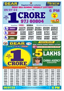Dear Lottery Result Today 6pm 09/07/20223 Nagaland State lottery result pdf
