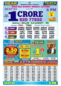 Dear Lottery Result Today 6pm 30/07/20223 Nagaland State lottery result pdf