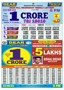 Dear Lottery Result Today 6pm 23/08/20223 Nagaland State lottery result pdf
