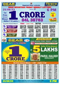 Dear Lottery Result Today 6pm 25/08/20223 Nagaland State lottery result pdf